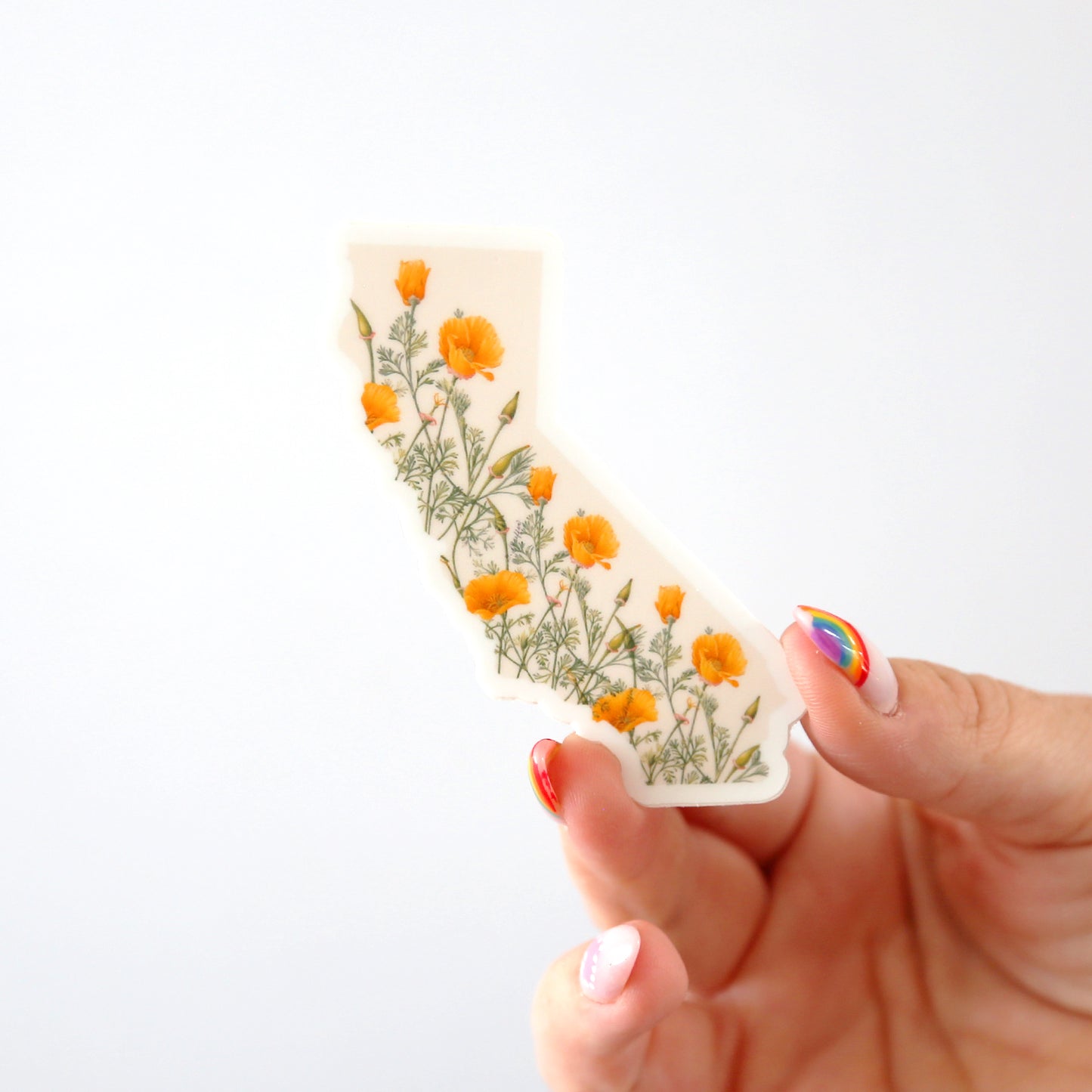 Poppies Sticker - NESW WAX CO//